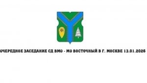 Очередное заседание СД ВМО-МО Восточный в г. Москве 13.01.2026