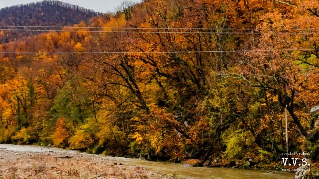 V.V.S. - В листьях осенних.