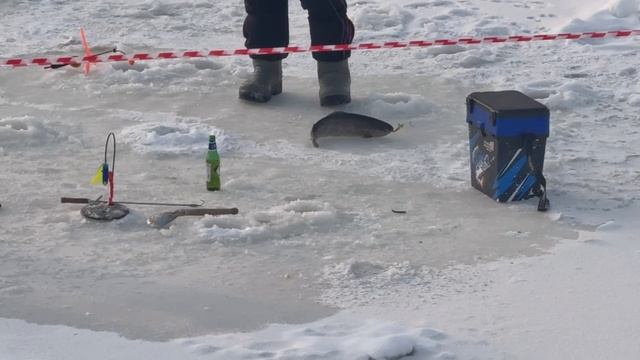 2802.mp4 смотреть онлайн