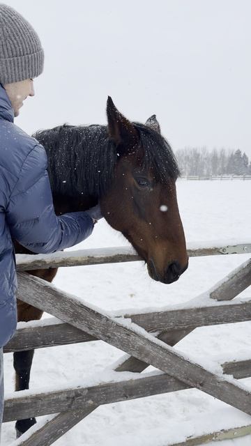 Лошади смотреть онлайн