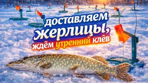 Зимняя рыбалка. Жерлицы. Доставляем жерлицы, ждем утренний клёв.