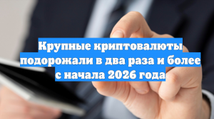 Крупные криптовалюты подорожали в два раза и более с начала 2026 года