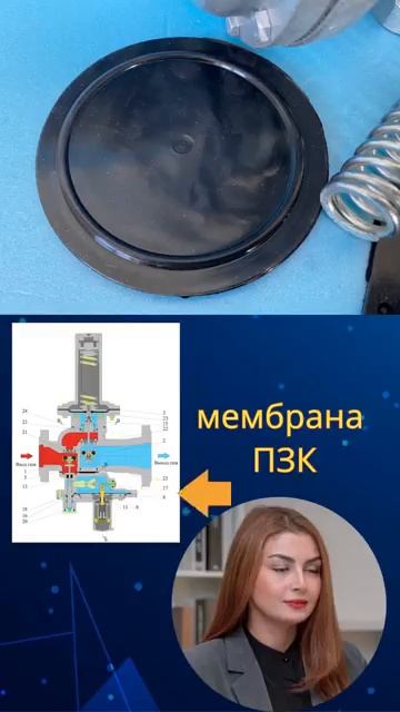 Для регуляторов РДСК-50М и РДСК-50БМ--ремкомплект. смотреть онлайн