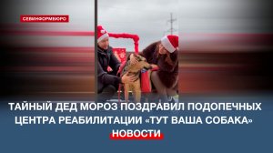 Тайный Дед Мороз поздравил подопечных центра реабилитации «Тут ваша собака»