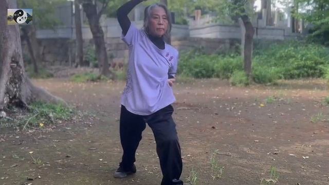 080 лабиринты кунфу Кемерово багуа синъи тайцзи