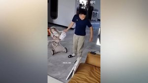 #смешныевидео -684