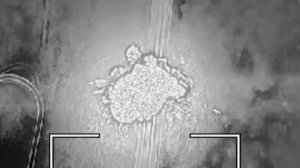 Российские военные освободили населенные пункты Закотное и Октябрьское в зоне проведения СВО.