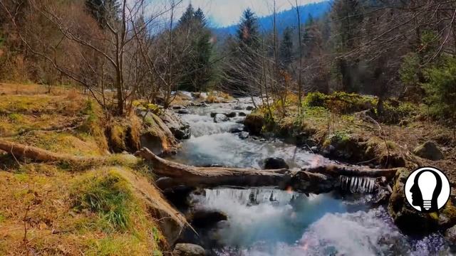 У женщины было много мужчин- 8 скрытых признаков, которые ее выдадут_HD смотреть онлайн