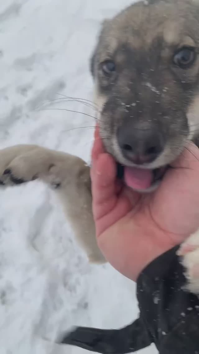 На Юге тоже есть зима💙⛄🤗 #азовскоеморе #юг #темрюк #голубицкая смотреть онлайн