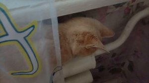 Моё утро! Что на подоконнике! Планы на семена! Юг России 🍊🎄🍭❄🍰☕