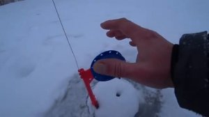 ПЕРВЫЙ ЛЁД __ ЗАГАРЫ НЕ ДАВАЛИ СИДЕТЬ НА МЕСТЕ!! __ БЕЛАРУСЬ _  ЯНВАРЬ 2026