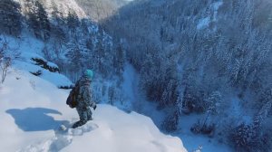 Вековая сосна - скала (Алтайский край, Россия 07.01.2021)