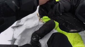 НАСЫПАЛ КОРИЦУ в ЛУНКУ...СТАЯ БЬЁТ КИВОК! Нашёл ЯМУ с рыбой. Зимняя рыбалка 2026