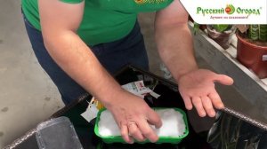 Как разбудить семена: два способа стратификации на практике.