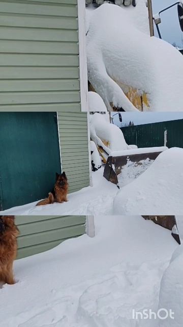 🤒🤒🤒 смотреть онлайн