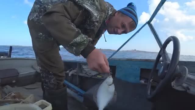 СПОЙМАЛ СИГОВ И КАМБАЛЫ С КАТЕРА! НАКОПАЛ ЗМЕЙКИ!