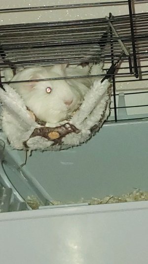 🩷Утренняя трансляция🩷