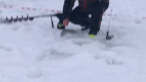 поимка форели