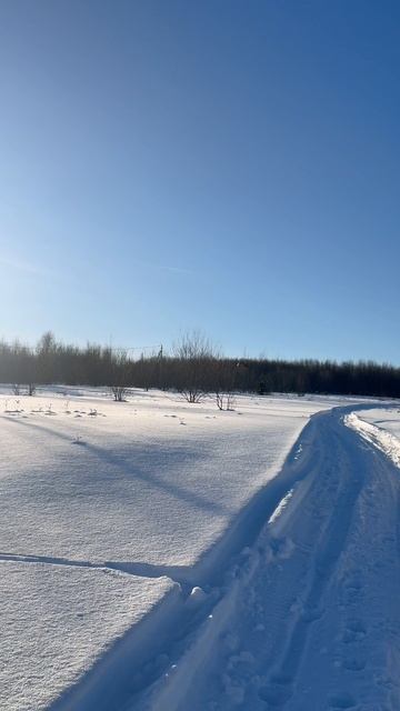 Запустил в полет птицу! смотреть онлайн