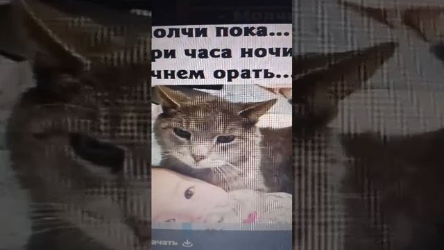 просто чил смотреть онлайн