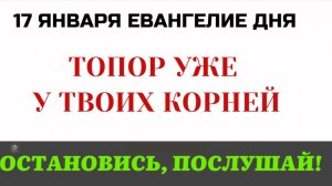 17 января  Евангелие дня Секира при корне дерев. Страшное пророчество Иоанна Предтечи.