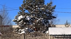 Зима на даче!!!