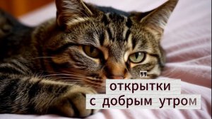 Красивые зимние открытки с добрым днем