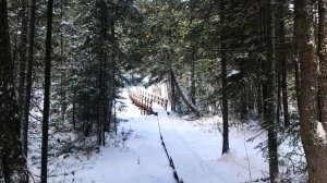 Природный парк «Самаровский чугас» отмечает 25-летний юбилей