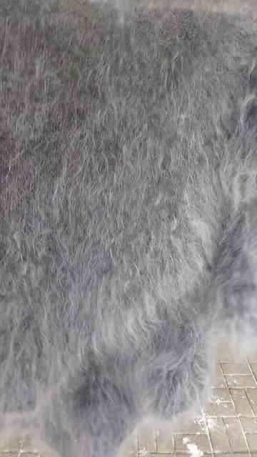 89507716355 Ласковый, красивый, тёплый медвежонок смотреть онлайн