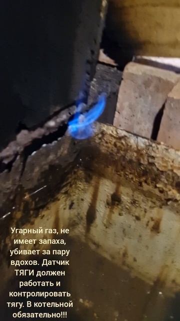 Такая парилка убьёт смотреть онлайн