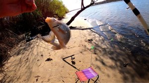 Разведка клёва на большой реке