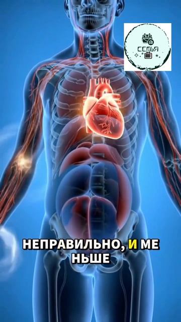 5 ПРИЗНАКОВ ПЕРЕД ИНФАРКТОМ КОТОРЫЕ НЕЛЬЗЯ ИГНОРИРОВАТЬ смотреть онлайн