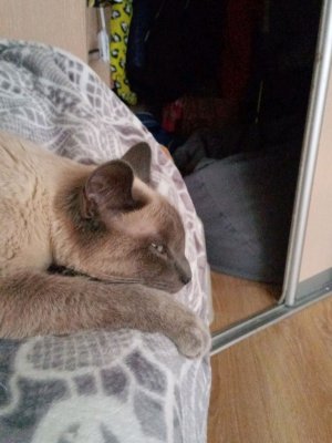 Дашка вновь у меня в гостях