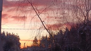 15,16-01-2026💥Влог💥четверг,пятница 📖комментарии