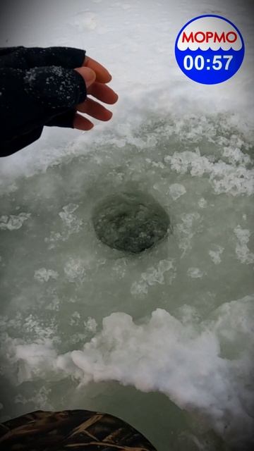 Трофей из лунки. Я в шоке!) #рыбалка смотреть онлайн