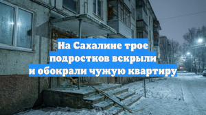 На Сахалине трое подростков вскрыли и обокрали чужую квартиру