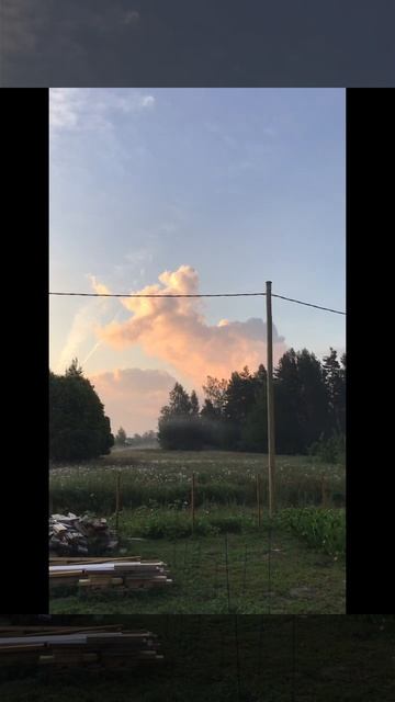 Ленинградская область. Хвойное. 29.07.2024. Раннее утро. Заря