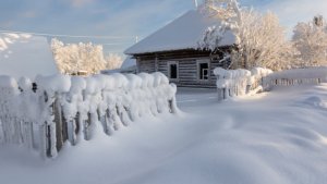 ASMR | Winter Snow Walk 2026 | АСМР Хруст снега | Зимний лес