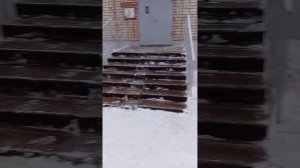 работа дворника