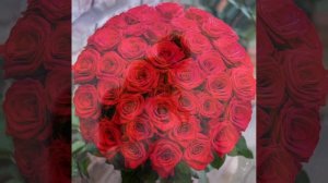 женщина 👩 любимая моя (Александр Закшевский)