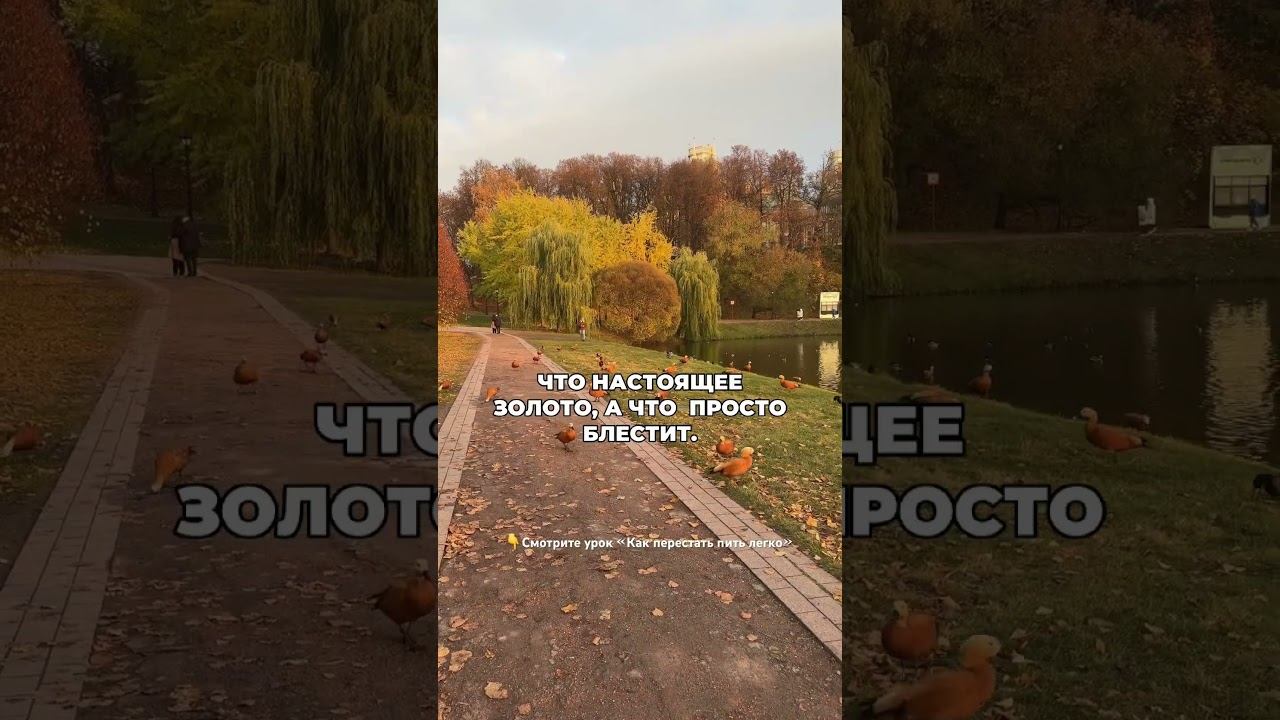 Когда вы бросите пить вы узнаете, что нет друзей у вас #броситьпить #лечениеалкоголизма смотреть онлайн