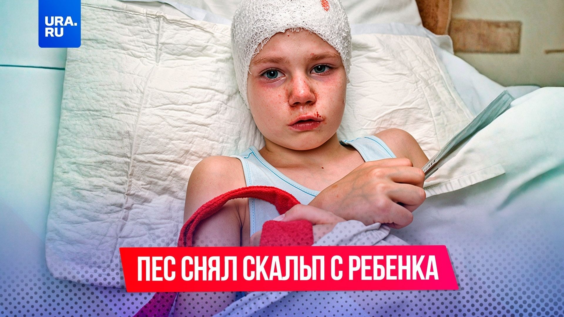 Пес снял скальп со школьницы в Хакасии смотреть онлайн