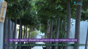 Где зимуют лавры: оранжереи Царского Села готовятся к весне