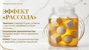 Система работы команды BIG MONEY CHINA.