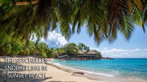 Снорклинг на Сейшелах, остров Маэ, Sunset Beach