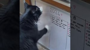 Мне эти планы не нравятся