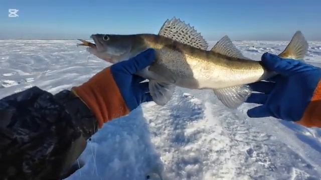 Рыбалка Костанай Верхаш! Рыбалка на судака смотреть онлайн