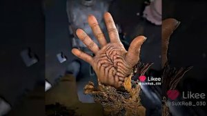 Борис животное эдит