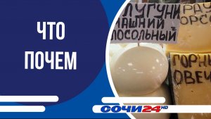 Сыры и молочная продукция: что почем на Центральном рынке Сочи