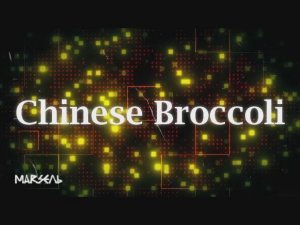 Chinese Broccoli